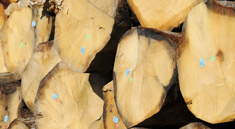 Étape 2 :<br/>Approvisionnement de la scierie